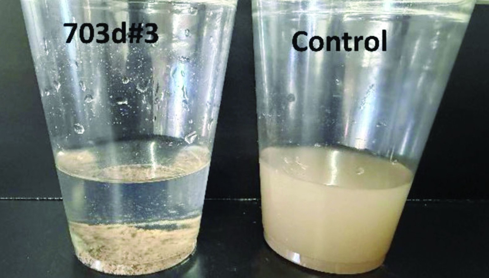 Jar test: 703d#3 Floc Log treated water beside untreated control